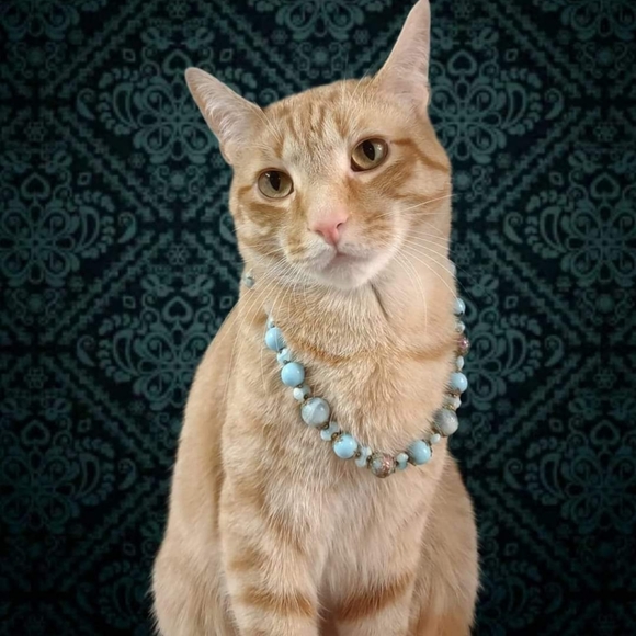 YOU could looks this fabulous too! - Picture 5 of 12